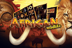We Are Casino