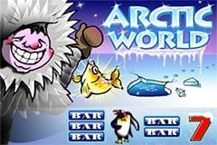 Arctic World