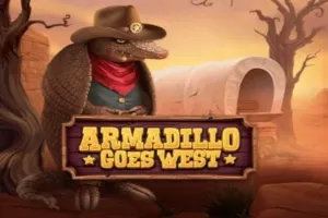 Armadillo Studios