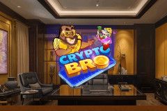 Crypto Bro Crypto Bro