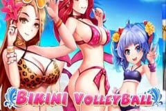 Bikini Volleyball