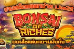 Bonsai of Riches