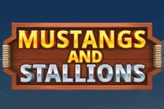 Mustangs and Stallions