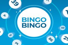 Bingo Bingo