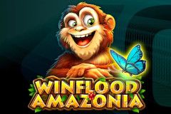Winflood Amazonia