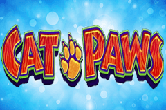 Cat Paws