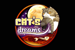 Cat's Dreams