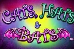 Cats, Hats & Bats