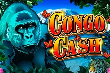 Wild Streak Gaming