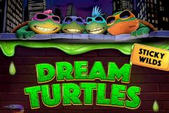 Dream Turtles