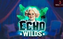 Echo Wilds