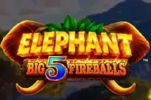 Elephant Big 5 Fireballs™