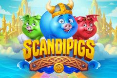 Scandipigs Scandipigs