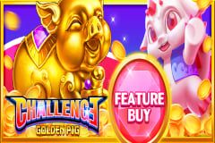 Golden Pig Feature Buy