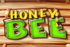Honey Bee