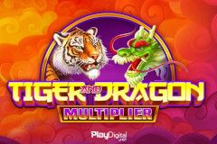 Tiger and Dragon Multiplier