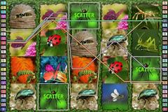 Insect World