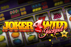 Joker4Wild