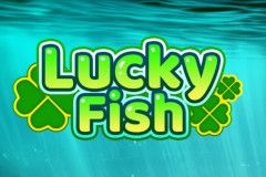 Lucky Fish Lucky Fish