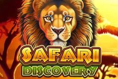 Safari Discovery