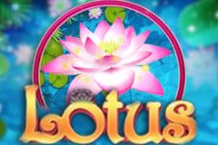 Lotus