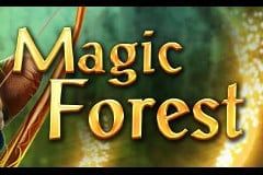 Magic Forest