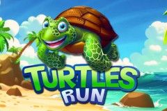 Turtles Run