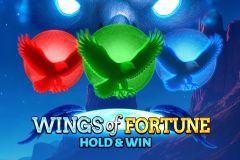 Wings of Fortune: Hold & Win