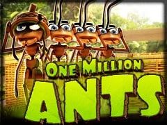 One Million Ants