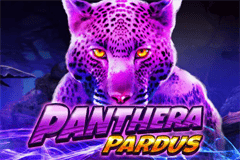 Panthera Pardus