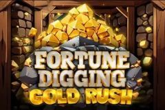 Fortune Digging: Gold Rush
