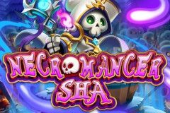 Necromancer Sha