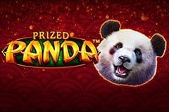 Prized Panda
