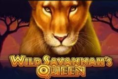 Wild Savannah's Queen