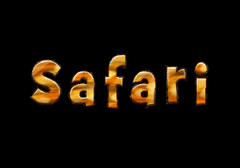 Safari