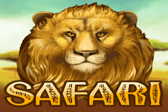 Safari