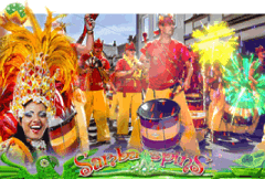 Samba Spins