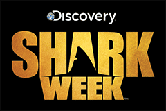 Shark Week