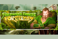 Sherwood Forest Fortunes