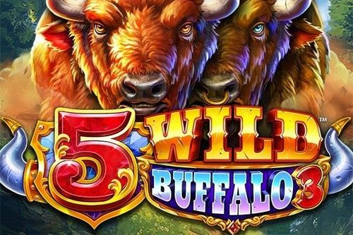 5 Wild Buffalo 3