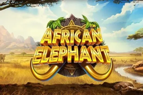 African Elephant