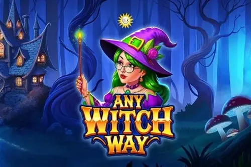 Any Witch Way™