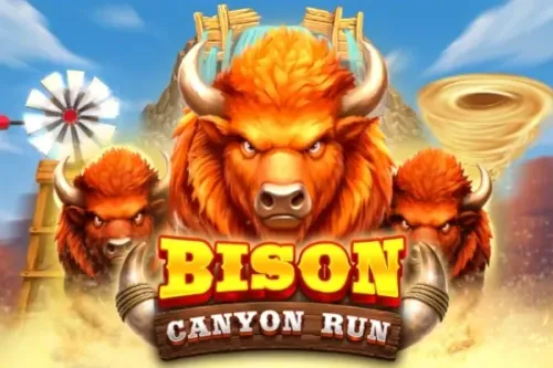 Bison Canyon Run
