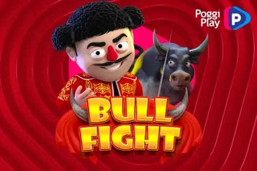 Bull Fight