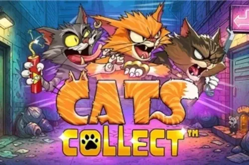 Cats Collect™