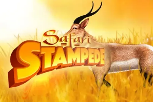 Safari Stampede
