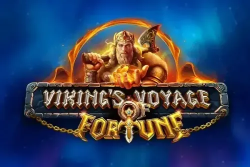 Viking's Voyage of Fortune