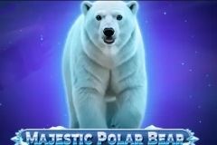 Majestic Polar Bear