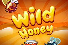 Wild Honey