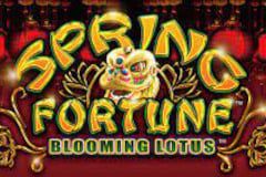 Spring Fortune Blooming Lotus
